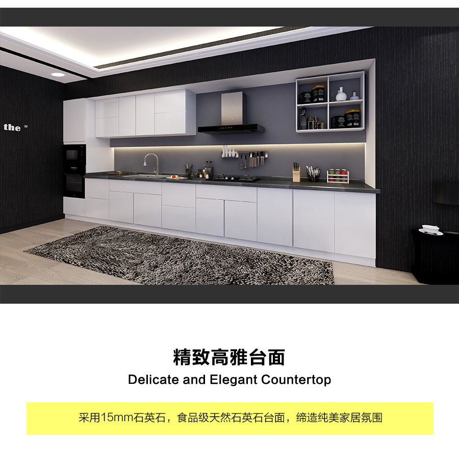 星空梵高定制櫥柜 現(xiàn)代簡約整體定制櫥柜 石英石臺面定制櫥柜 雙飾面-顆?？酒?10定制櫥柜